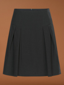 Pelican ���� ��� ������� GWS8100 �����