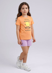 Clever ����� ������� ��� ������� CLE 846593� ��.����������