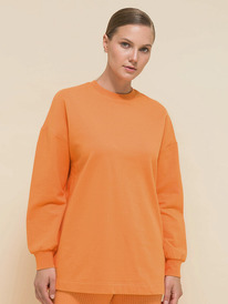 27.03  Pelican ������� ������� PFJ6930/1 ���������