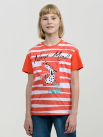 24.03 Pelican �������� ��� ������� GFT4270/2 �������