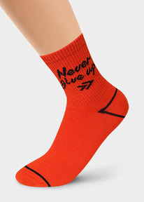 24.03 Clever ����� ������� CLE �4284 20-22,22 �������