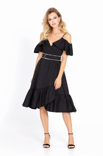 ������ Pirs 568