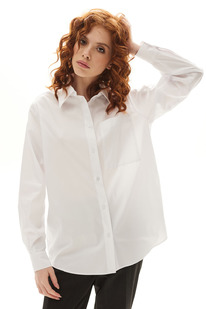 ����� Golden Valley 2313 �����