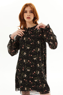 ������ Golden Valley 4933 ������