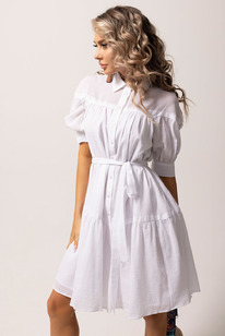 ������ Golden Valley 4811 �����