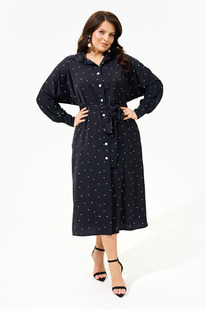 ������ IVA 1572