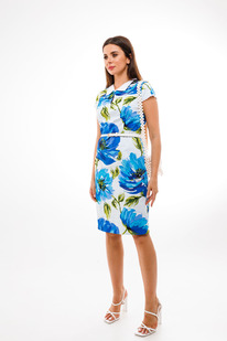 ������ ANELLI 1348