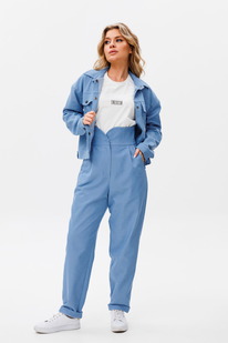 ������ AmberA 2070 �������