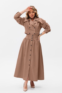 ������ AmberA 2068� ����