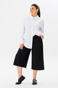 ����� ANELLI 1337 ����