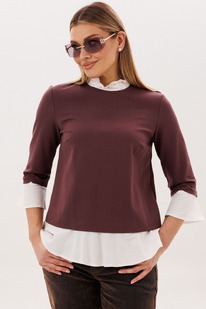 ����� ANELLI 1824 �������