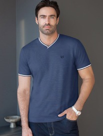 �������� � V-������� �� ������������ ������ � ���������