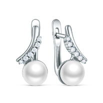 ������ �� ������� � ���������������� �������� � ��������� ������������ �50273