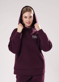 09.04  Clever ���� ������� CLE LH15-106 �.��������