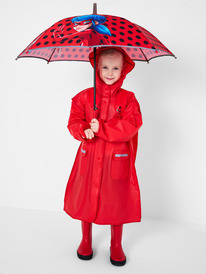 12.04  PlayToday ���� �� ����������� ��������� ��� ������� (��������) 12642703