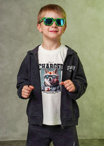 12.04  Clever ��������� ������� ��� �������� CLE 867304/10��_� �.�����/������