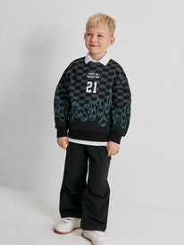 12.04  Acoola ������� ������� ��� ��������� Peregrin 20120170200 ������ �����