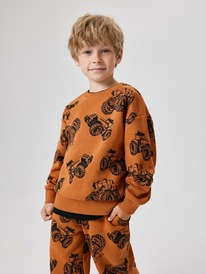 08.04 Acoola ������� ������� ��� ��������� Polaris 20120170194 ��������