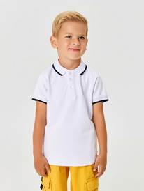 22.04 Axima �������-���� ������� ��� ��������� Verity 78130490001 �����