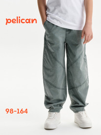 12.04  Pelican ����� ��� ��������� BGPG3394/1 �������