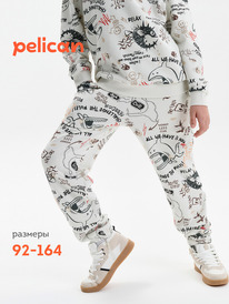 12.04  Pelican ����� ��� ��������� BFPQ3389/3 ��������