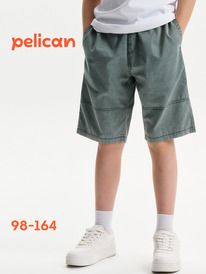 08.04 Pelican ����� ��� �������� BGH3394 �������