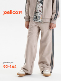 12.04  Pelican ����� ��� ��������� BFPQ3389U ������-�����