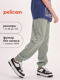 08.04 Pelican ����� ��� ��������� BFPQ3321U ������-�������