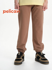 08.04 Pelican ����� ��� ��������� BFPQ3321U ����������