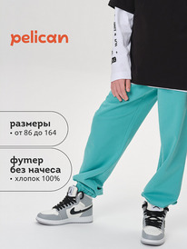 08.04 Pelican ����� ��� ��������� BFPQ3321U ������� �����