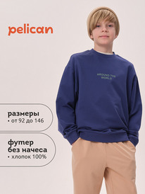 08.04 Pelican ��������� ��� ��������� BFN3371U �����-�����