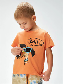 08.04 Acoola �������� ������� ��� ��������� Havel 20120510218 ���������