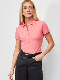 09.04  Vilatte ��������-����  �� ������������ ������ D49.087 ������