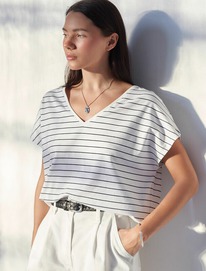 09.04  Vilatte �������� � V-������� � ������������� ������� �� ������������ ����