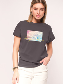 09.04  Vilatte �������� �� ���������� ������������ ������� � ������� ������� D49