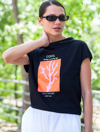 09.04  Vilatte �������� �� ���������� ������������ ������� � ������� ������� D49