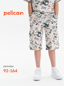 22.04 Pelican ����� ��� �������� BFH3389U ��������