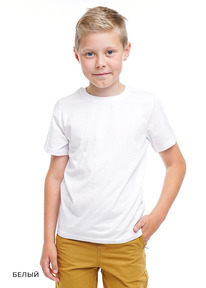 12.04  Clever �������� ���. CLE 903161�� 68-84 �����