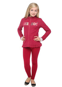 12.04  Clever ��������� ������� ��� ������� CLE 762491/61�� ���������