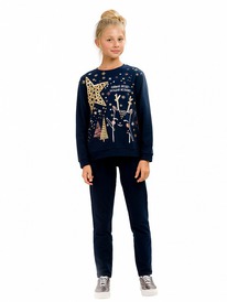 12.04  Pelican �������� ��� ������� GFANP4785 �����-�����