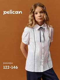 12.04  Pelican ������ ��� ������� GWCT7110 �����