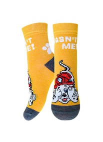 12.04  ��������� PAW PATROL ��������� ����� ������� 3072 PAW PATROL 21�3072 ����