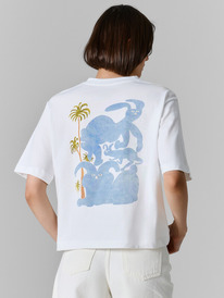 Mark Formelle �������� ������� 112862 112862 ����� +������29 143494