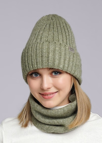 �����  Clever ���� ������� CLE 433881�� ������ ������