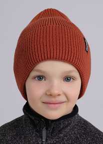 �����  Clever ����� ������� CLE 433869�� ���� ������������