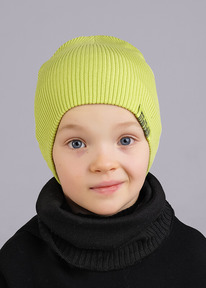 �����  Clever ����� ������� CLE 544065�� ���������