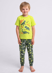 �����  Clever �������� ���. CLE 909533��_� ������/��.������