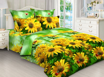 ������� �������� �� ���� ���� (220�240) � ������������