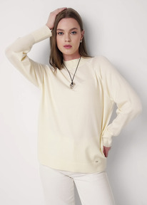 21.04 Clever ������� ������� CLE 354480�� ��������