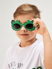 22.04 Acoola ���� �������������� ������� Anima 20106500055 �������